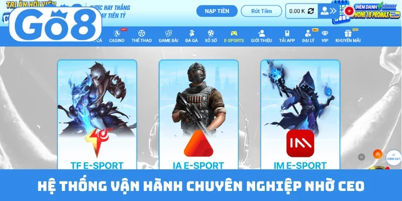 he thong van hanh chuyen nghiep nho ceo Hệ thống vận hành chuyên nghiệp nhờ CEO